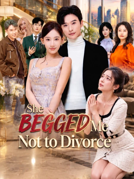 She Begged Me Not to Divorce