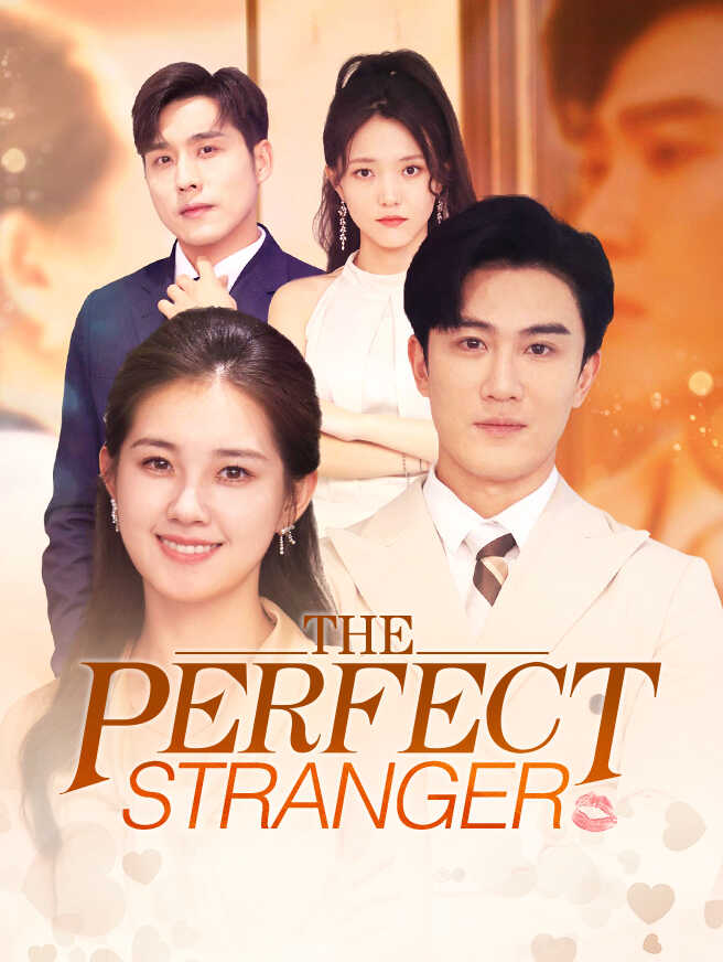 The Perfect Stranger