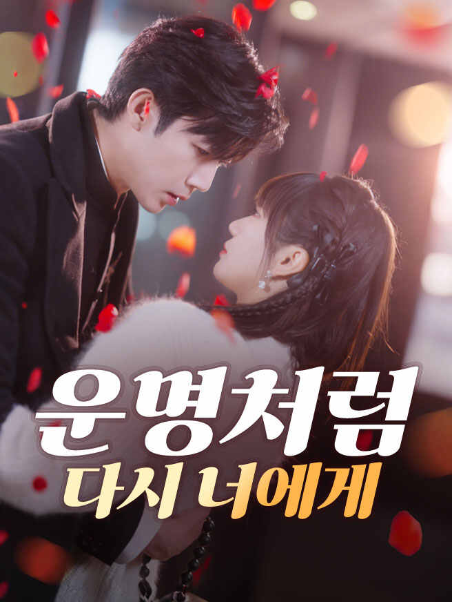 운명처럼 다시 너에게