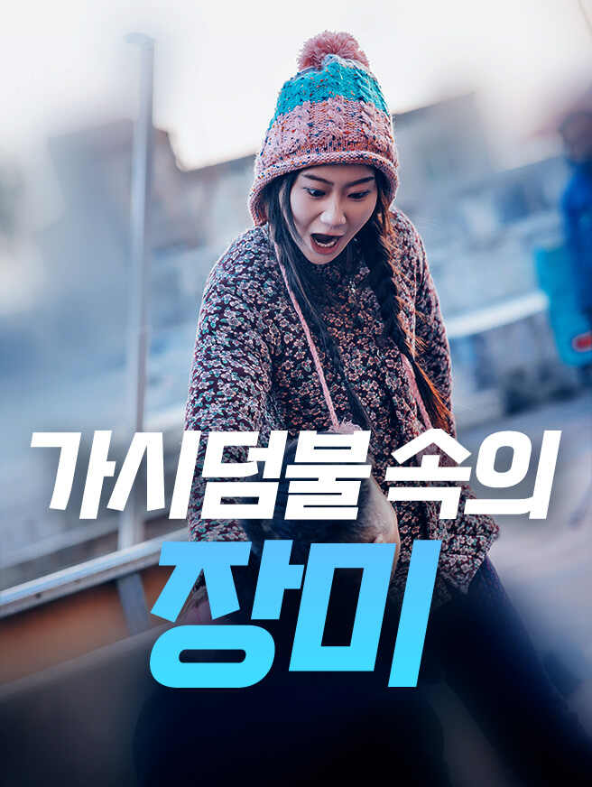 가시덤불 속의 장미