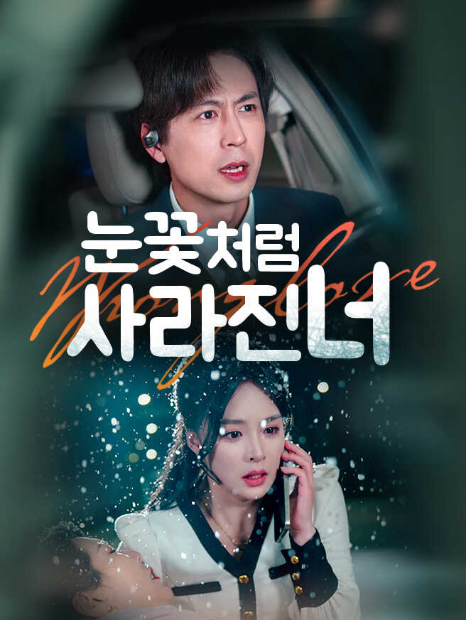 눈꽃처럼 사라진 너