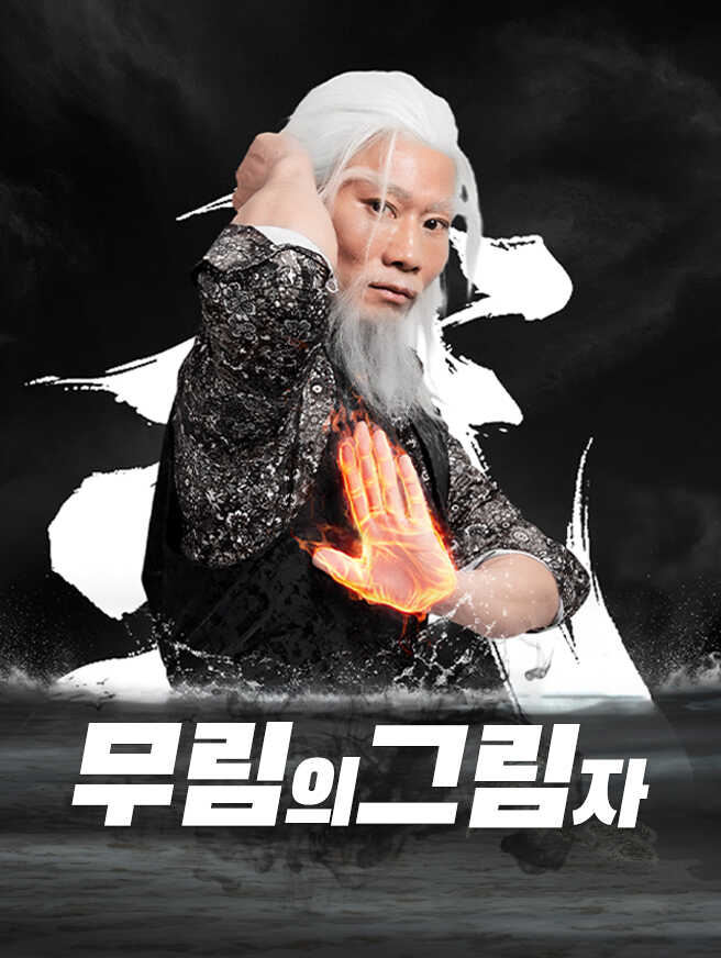 무림의 그림자