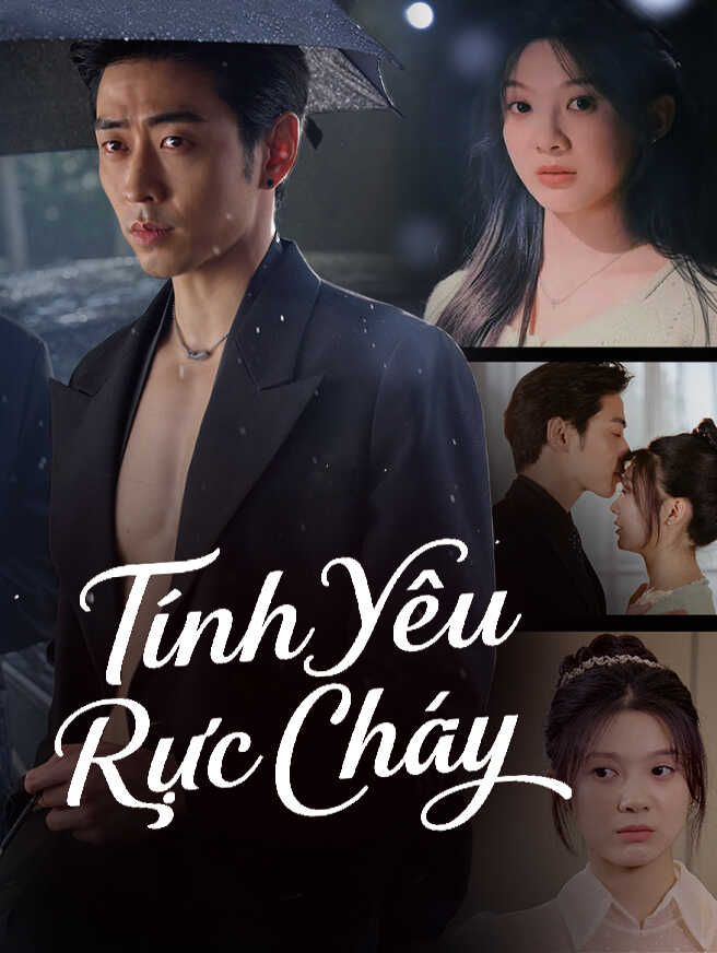 Lửa Tình Nhà Họ Phó