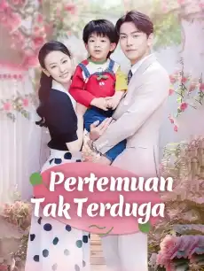 Pertemuan Tak Terduga