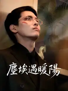 塵埃遇暖陽