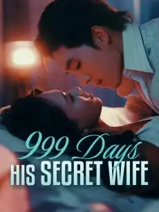 999 Days His Secret Wife
