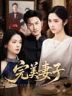 完美妻子