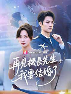 再見機長先生，我要結婚了