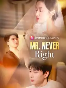 Mr. Never Right