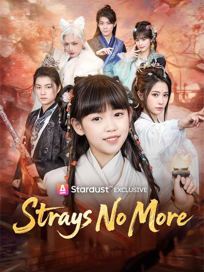 Strays No More