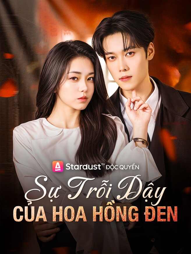 Sự Trỗi Dậy Của Hoa Hồng Đen
