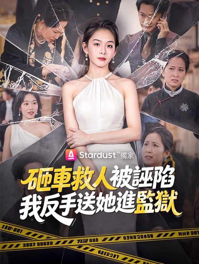 砸車救人被誣陷，我反手送她進監獄