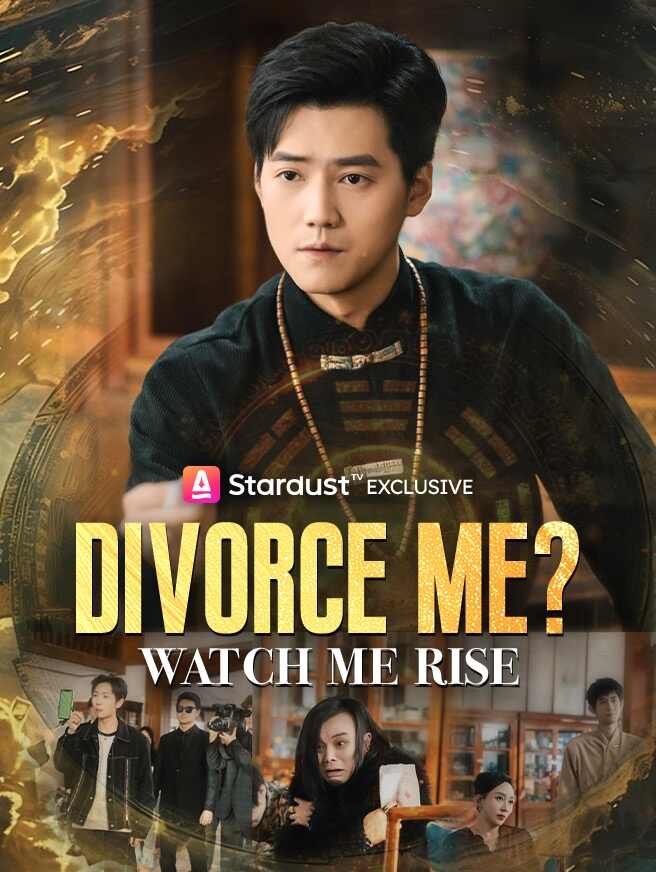 Divorce Me? Watch Me Rise