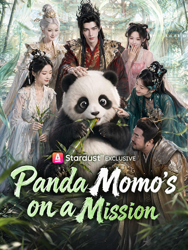 Panda Momo's on a Mission