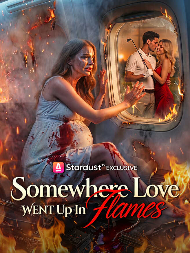 Chinese Drama Somewhere Love Went Up In Flames with subtitles - poster