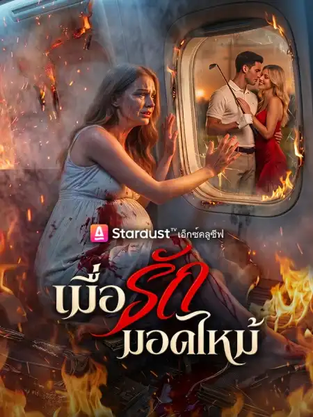 เมื่อรักมอดไหม้