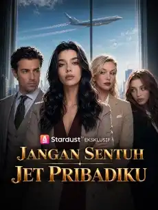 Jangan Sentuh Jet Pribadiku