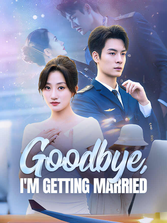 再见机长先生，我要结婚了