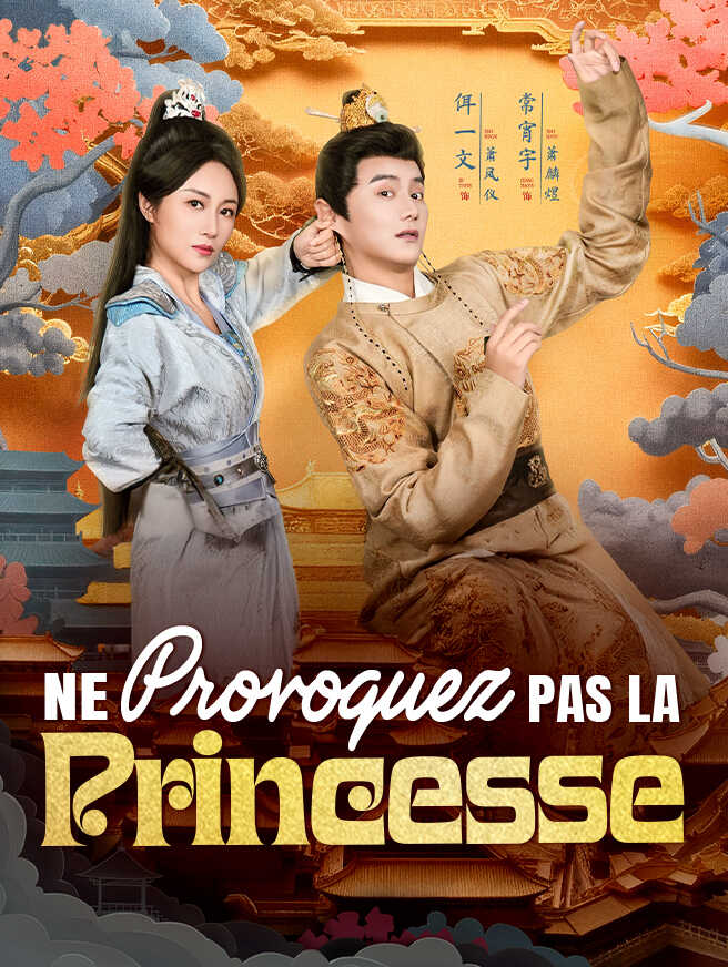 Ne Provoquez Pas la Princesse