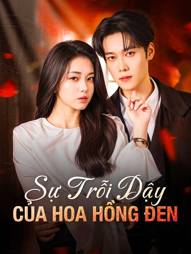Sự Trỗi Dậy Của Hoa Hồng Đen