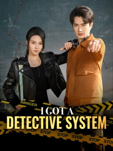 I Got a Detective System