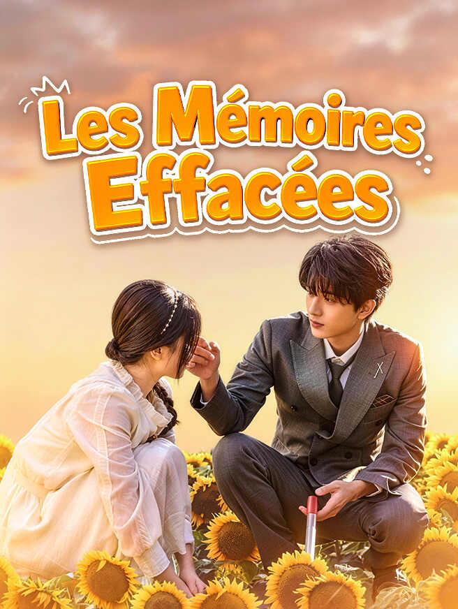 Les Mémoires Effacées
