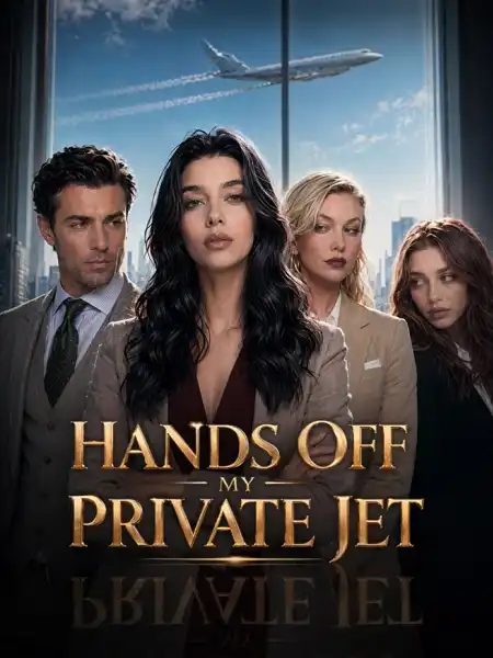 Hands Off My Private Jet