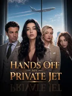 Hands Off My Private Jet