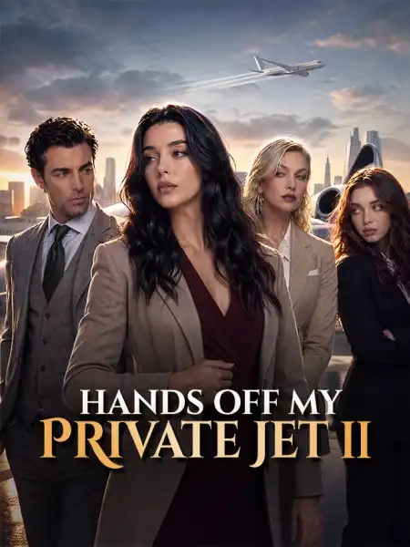 Hands Off My Private Jet II